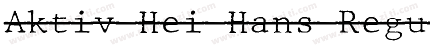 Aktiv Hei Hans Regul字体转换
